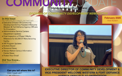 DCD Newsletter February 2025